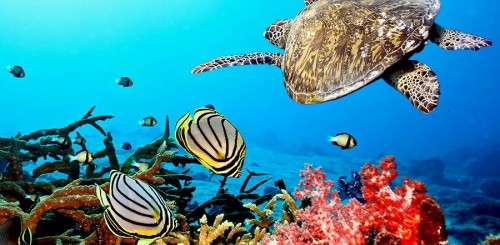 Bonaire oferece mar translúcido e praias exclusivas